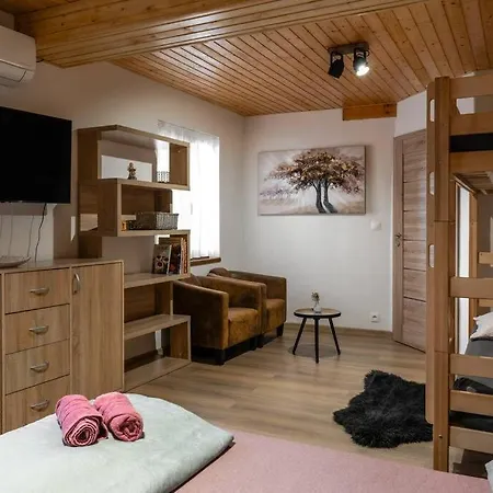 Holiday home Rodinka *